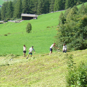 Politica agrara