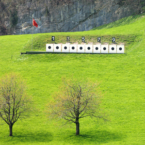 Tir champester
