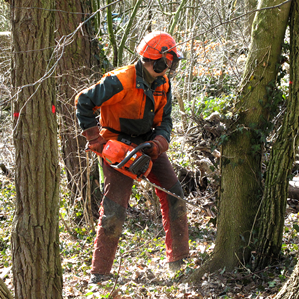 Lavur da guaud privlusa