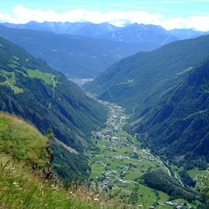 Cavajone