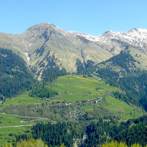 Calfraisa
