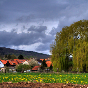 Zonas d'abitar sco spazi vital