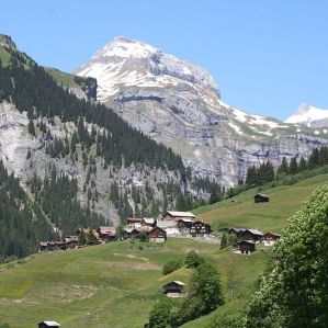 Pigniu