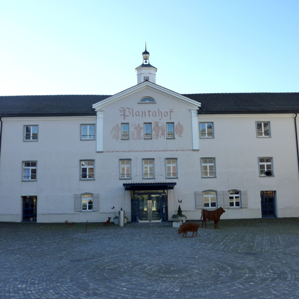 Plantahof