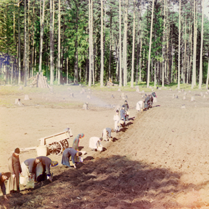 Istorgia dal tartuffel