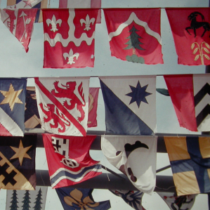 Vopnas da vischnanca