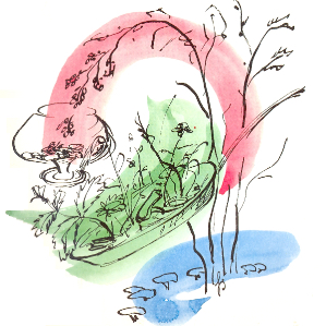 Las selvadias cuschinan